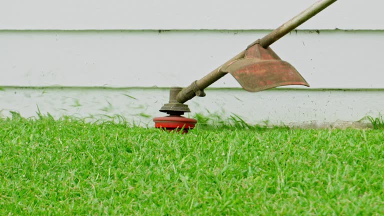 Best Artificial Turf Installation  in Minooka, IL